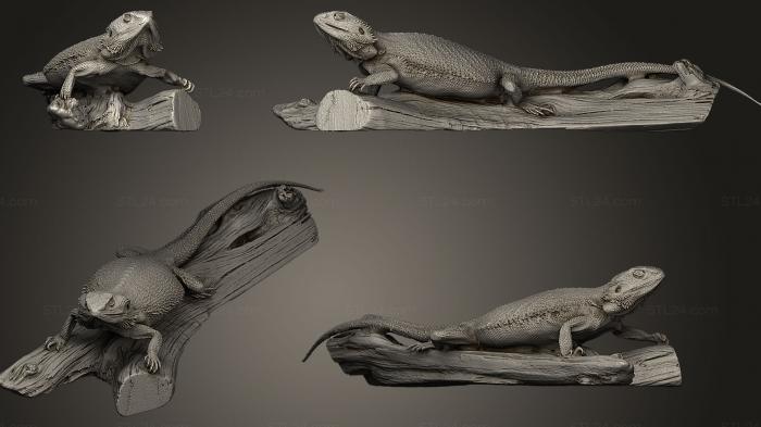 Статуэтки животных (Бородатый Дракон, STKJ_0168) 3D модель для ЧПУ станка